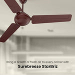 Crompton 1200mm Ceiling Fan -	Starbriz