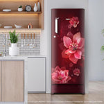 Whirlpool  192L 5 Star Direct Cool Refrigerator - Wine Mulia 215 IMPC ROY