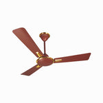 Crompton 1200mm Ceiling Fan -Auro Brown