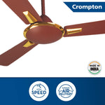 Crompton 1200mm Ceiling Fan -Auro Brown